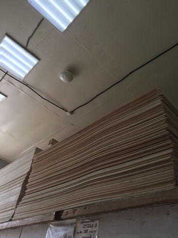 ������ �� 12 �� - ������, ���� �� �����!